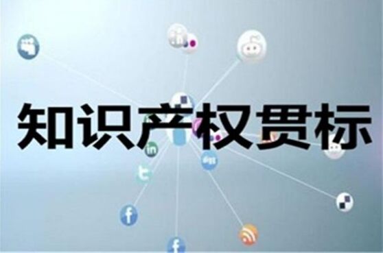 2020年安徽宣城泾县知识产权贯标奖励政策